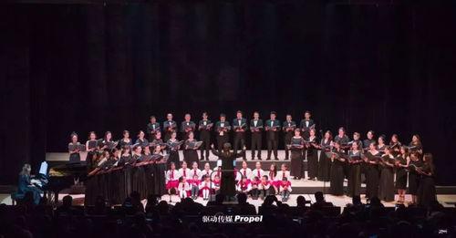 如何拍成人合唱视频,打造专业视听盛宴