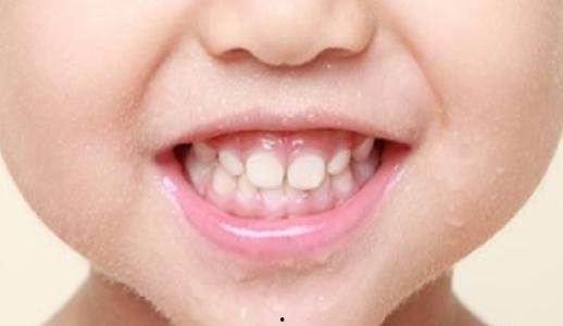 成人可以舔牙吗视频,揭秘成人舔牙的真相与误区