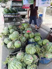 贵州工商吃瓜事件视频,一地鸡毛引发的舆论风波