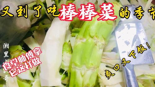 鞍山老师吃瓜,揭秘校园八卦背后的真相