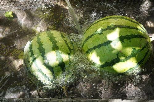 神秘吃瓜,揭秘背后惊人真相