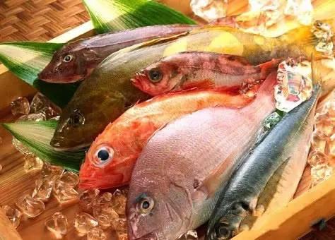 鱼民吃瓜船,揭秘吃瓜船的奇妙之旅