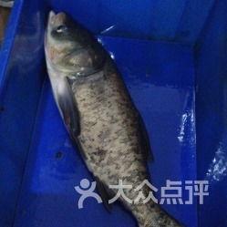 鱼民吃瓜船,揭秘吃瓜船的奇妙之旅